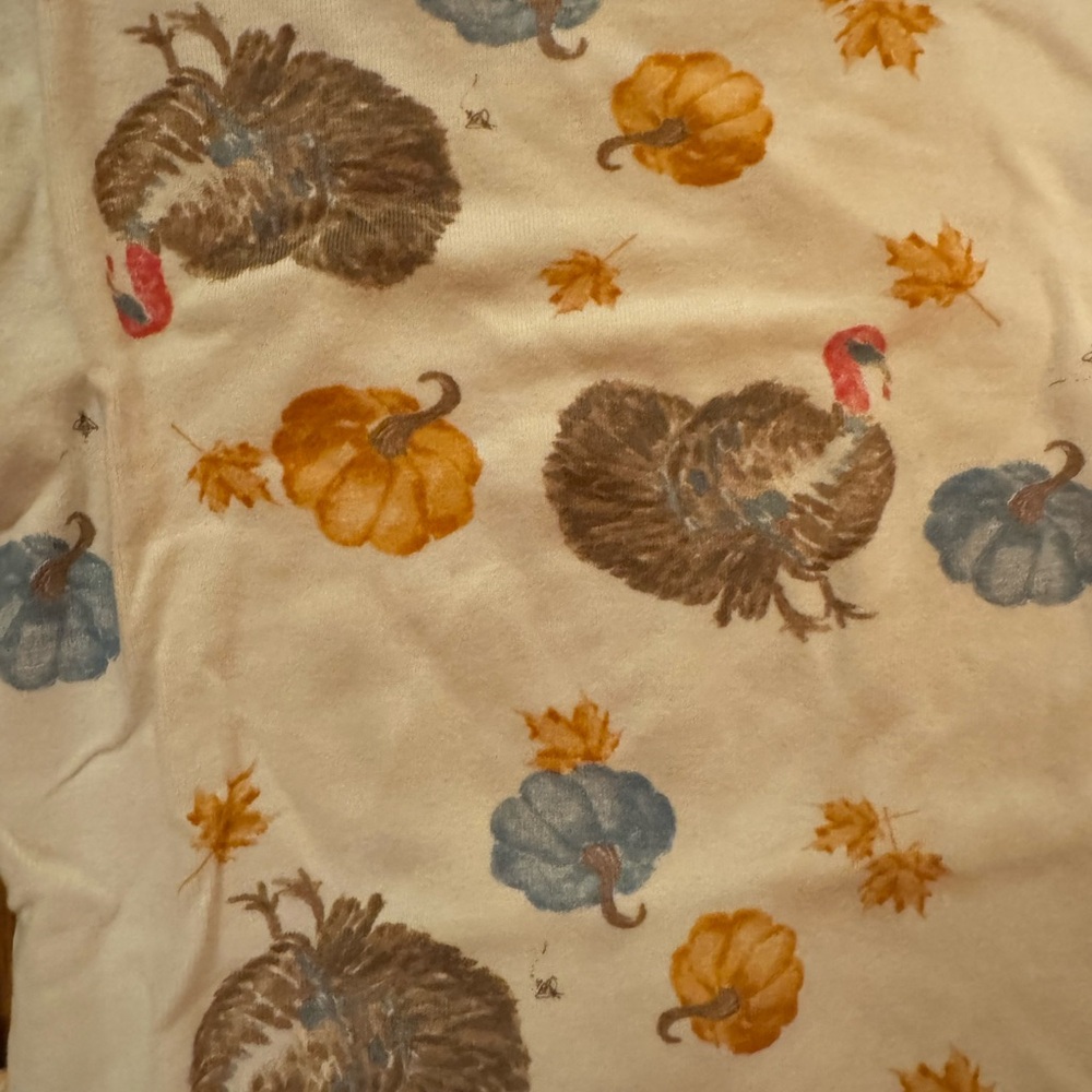 Burt’s Bees Thanksgiving / Turkey Pajama Set Size 6 - Picture 3 of 5